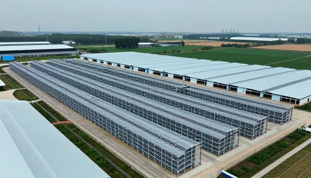 基地合作中的应用场景分析与维护建议